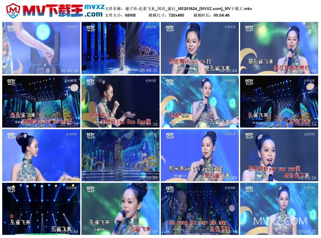 谢子圻-孔雀飞来_国语_流行_ME201624